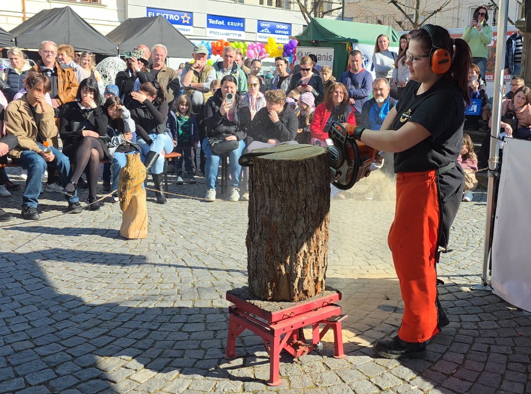 Speedcarving show